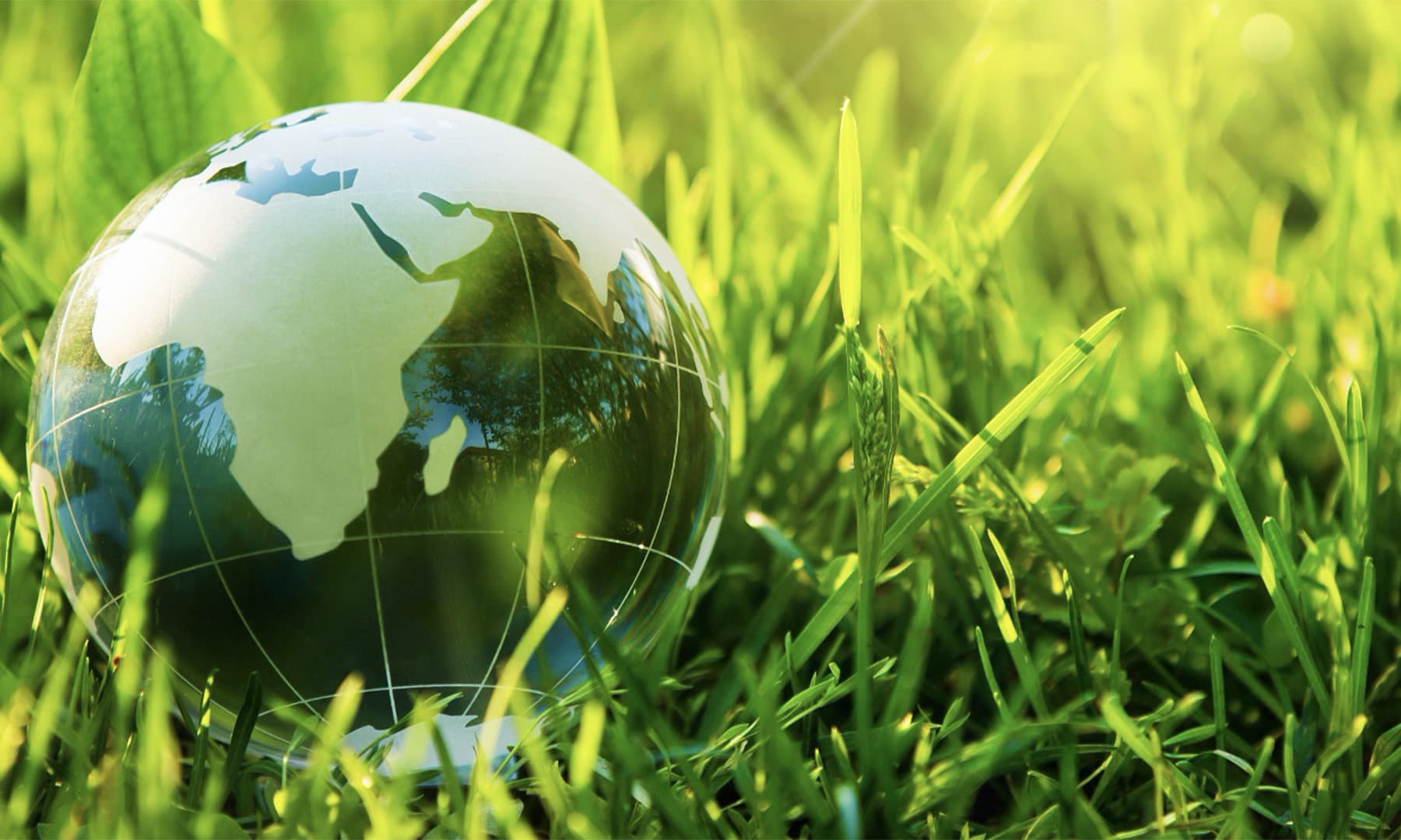 Nationally Determined Contribution(NDC)Bilingual Finance Fellowship