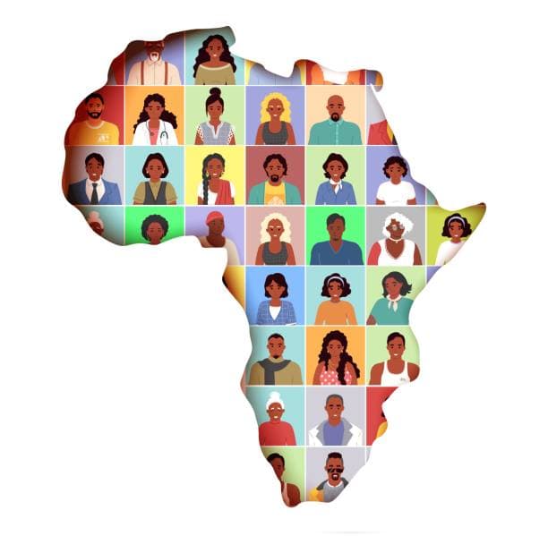 African Fellowship Network - SDG, ARIN & Adaptation Fellows